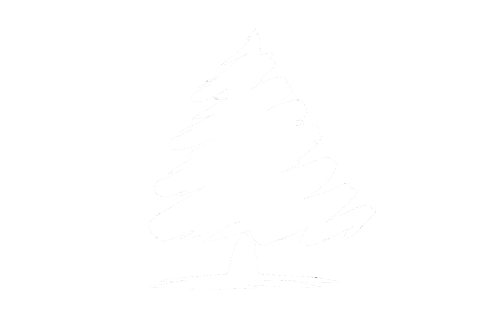 purify transparent logo